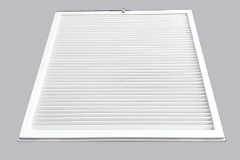 celosia avisagrada 2