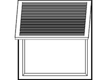 celosia avisagradam2