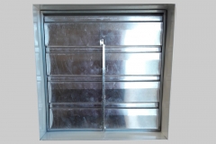 celosia gravitacional