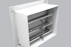 celosia gravitacional2