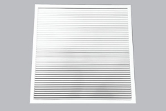 celosia reemplaza palmeta